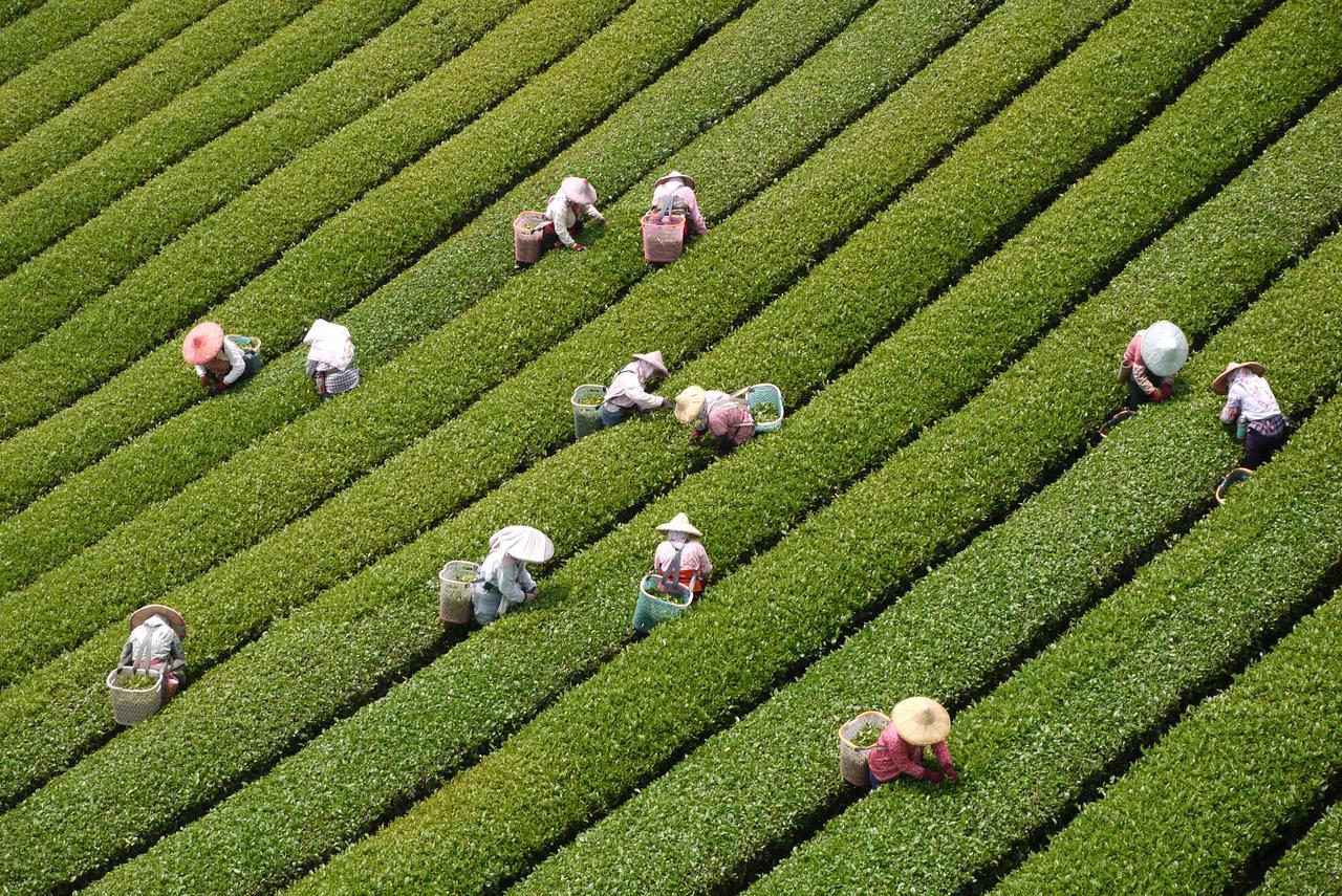 Sheng-Le Farm B&B Fanlu Esterno foto